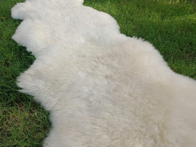 Genuine Real Australian Sheepskin Lambskin Rug Double Pelt Ivory White Sheepskin throw Soft and Silky Rug Large Sheepskin Rug Fur 2 Pelts